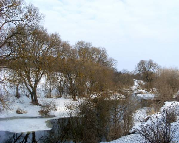 Река Мошна