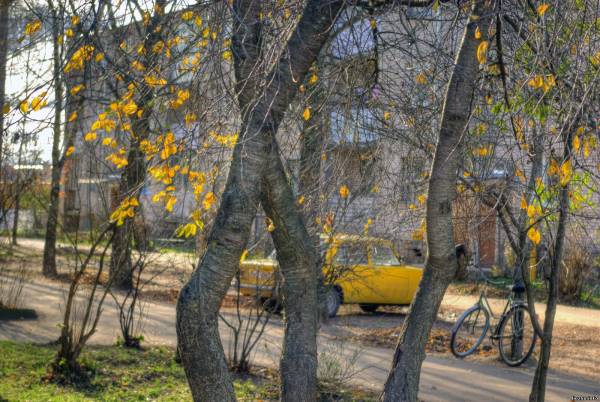 Желтое