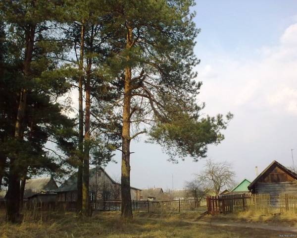 Лиозно - переулок Лесной
